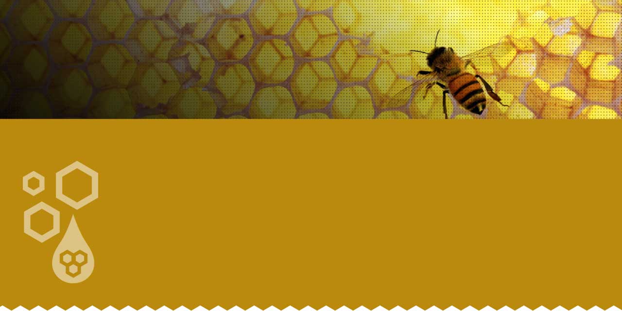 slideshow-background Koster Keunen Beeswax