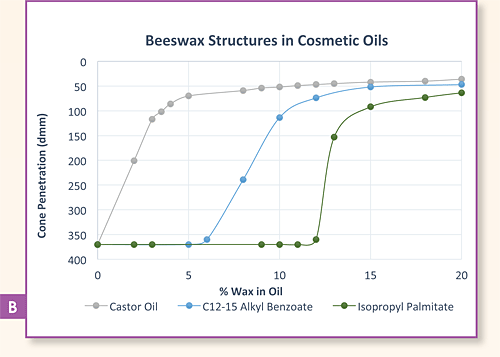 Beeswax Structures in Cosmetic Oils