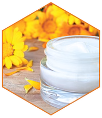 citrus-body-cream Citrus Body Cream