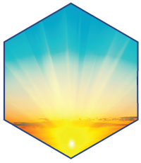 every generation lotion