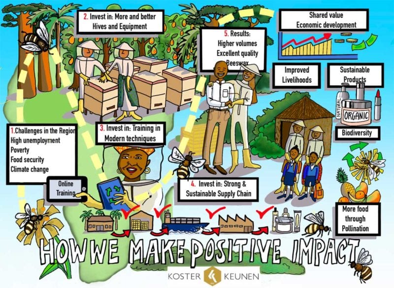 Sustainable Beeswax Harvesting Koster Keunen