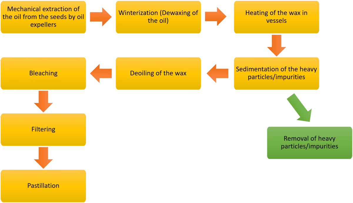 current method of extraction of sunflower wax from the seeds sunflower seed extraction diagram