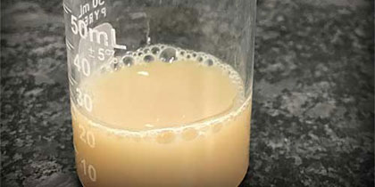 Cationic Carnauba Milk