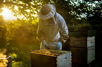 Our work with West African beekeepers is a direct application of our belief that the world is interconnected, and we need to leave the world better than we found it.