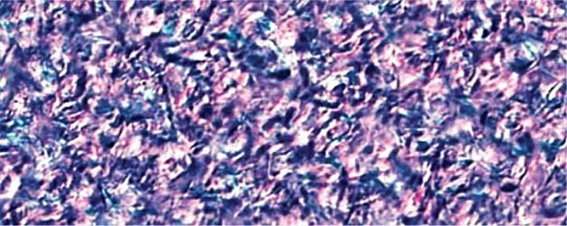 PLM Crystallization Photo