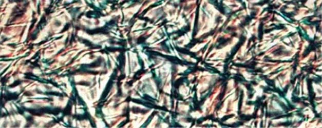 PLM Crystallization Photo